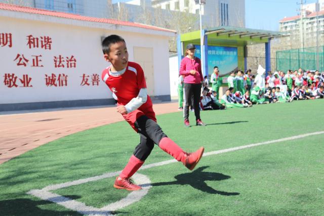赵丽颖紧急住院后积极参与救助活动，获赞无数！